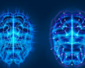 Scans of brains lit with blue