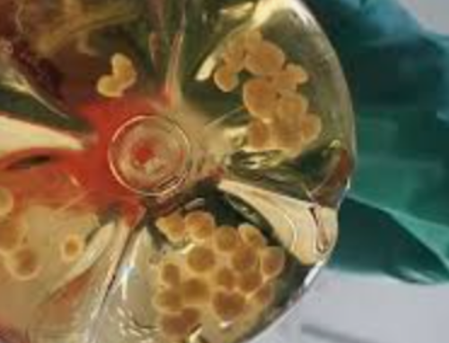 Science Requires Ethical Oversight – Without Federal Dollars, Society’s Health and Safety are at Risk