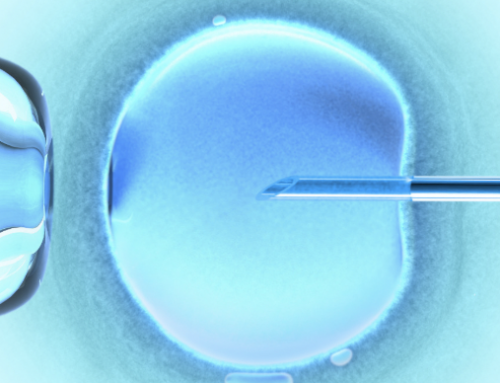 A Brief History Of “Three-Parent Babies”