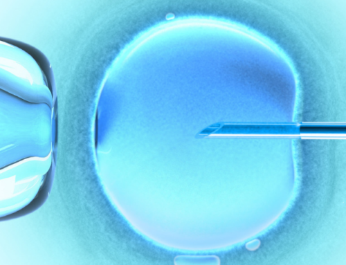 In The Country With The World’s Lowest Birth Rate, Fertility Clinics Are Booming