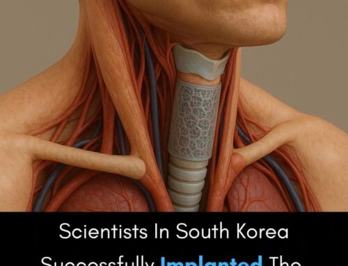 Scientists in South Korea Implanted World’s First 3D-Printed Windpipe in a Woman