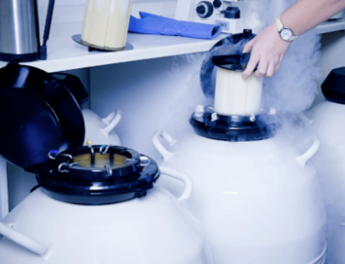 Families of Israeli soldiers killed in Gaza are retreiving sperm from their bodies