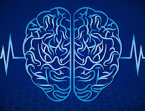 Euthanasia and Decision-Making: A Case from Spain