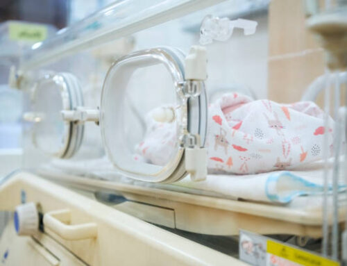 Artificial Wombs and the Future of Neonatal Care