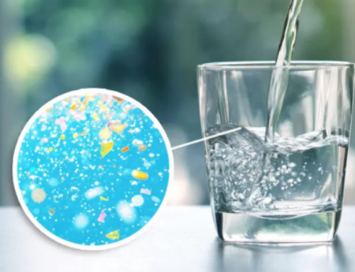 Microplastics and the Ethics of Drinking Water Protection