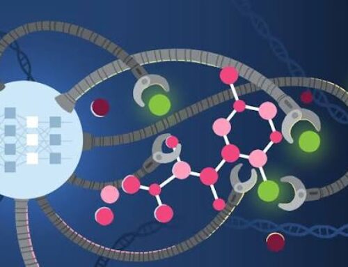 Who Gets Credit When AI Discovers a Drug?