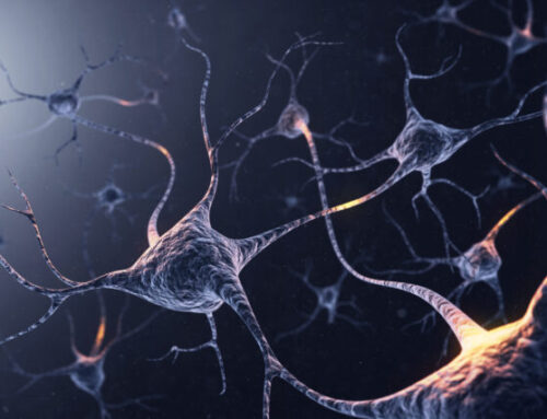 Memory, Identity, and the Future of Neurotechnology