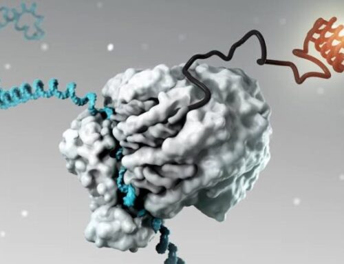 A New Era for Personalized Cancer Vaccines