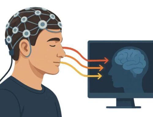 Neurotechnology, Religion, and the Future of Human Identity
